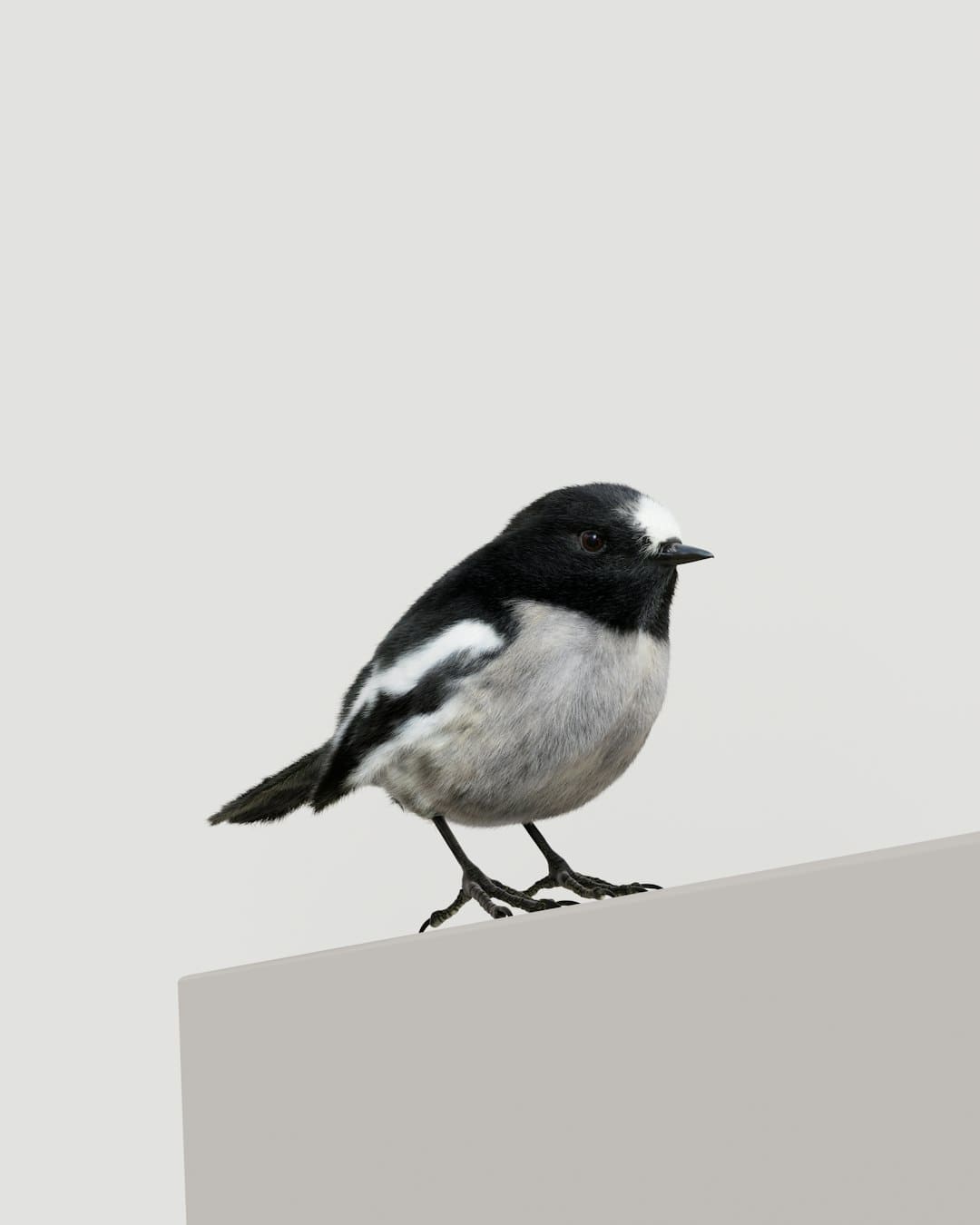 http://n.sinaimg.cn/translate-08/700/w900h600/20180316/jGsc-fyshfuq0447167.jpg?zdy